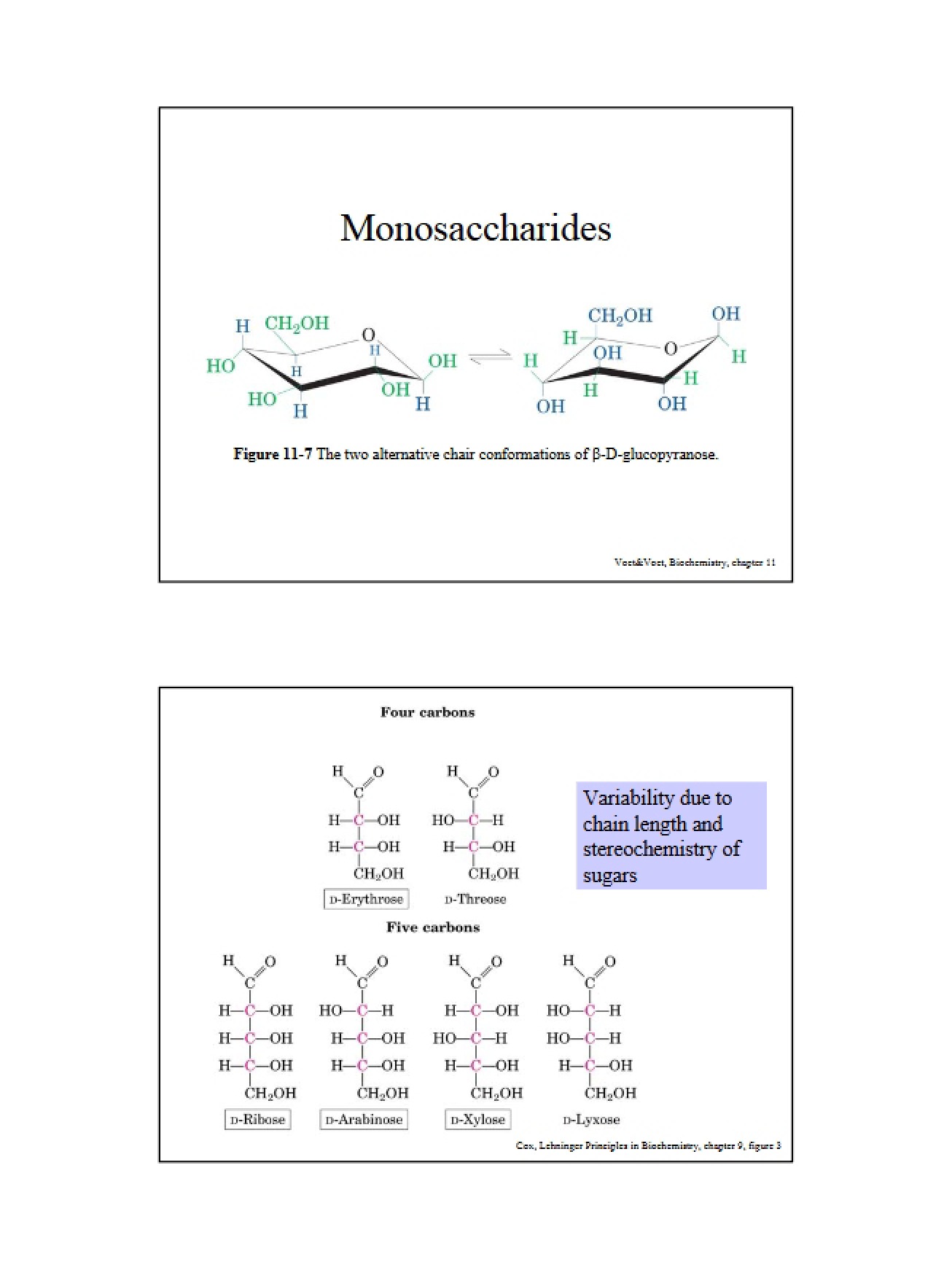 Structure of Polysaccharides