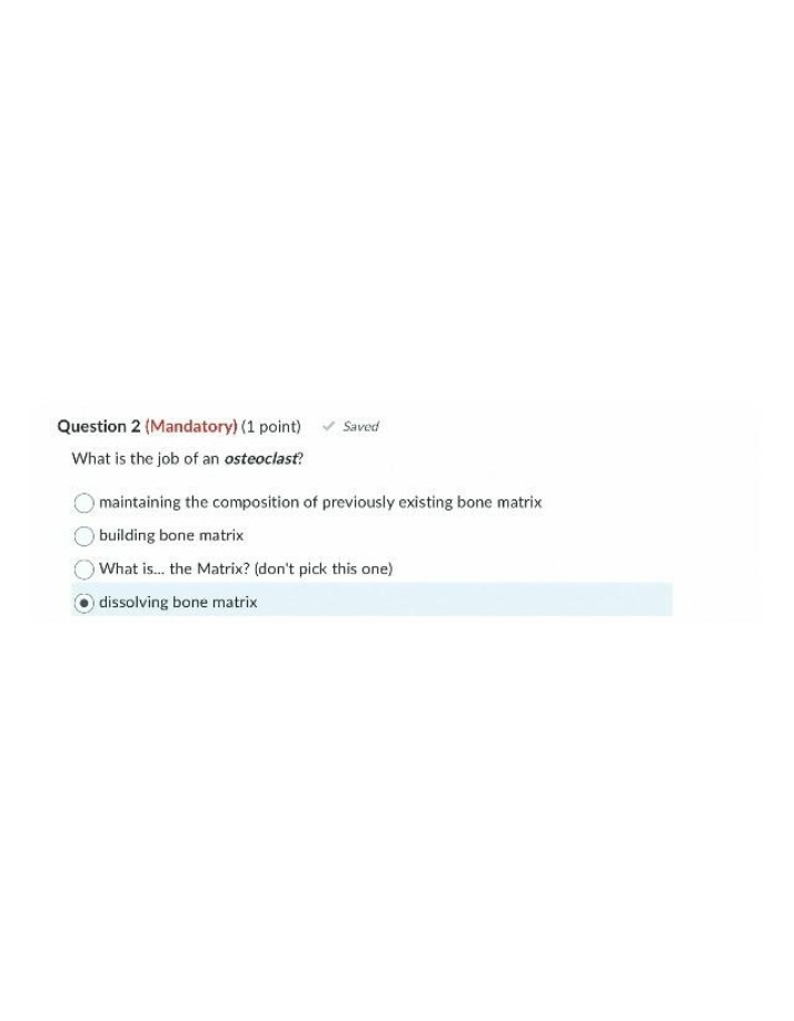 What is the Job of an Osteoclast