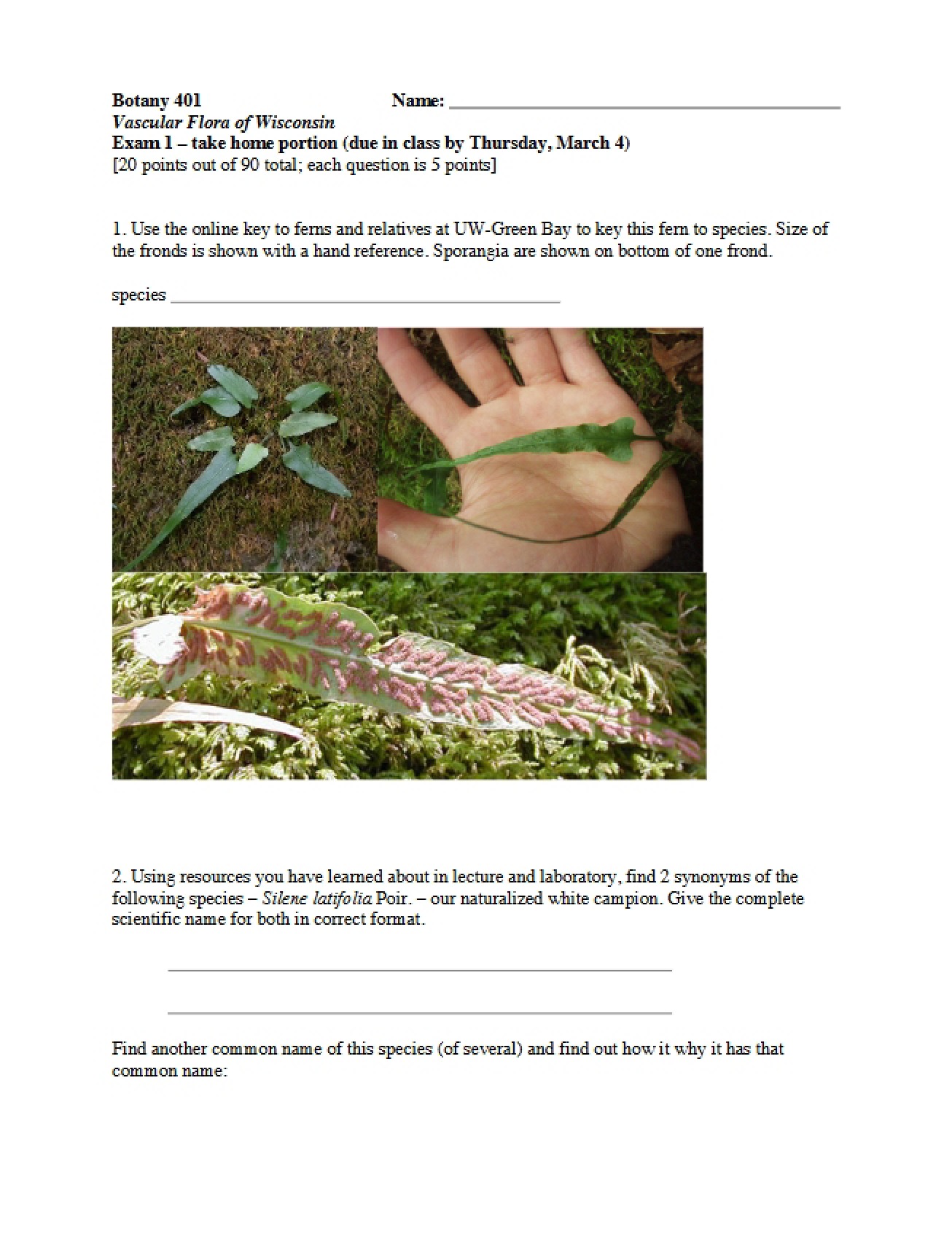 Exam One for Botany 401