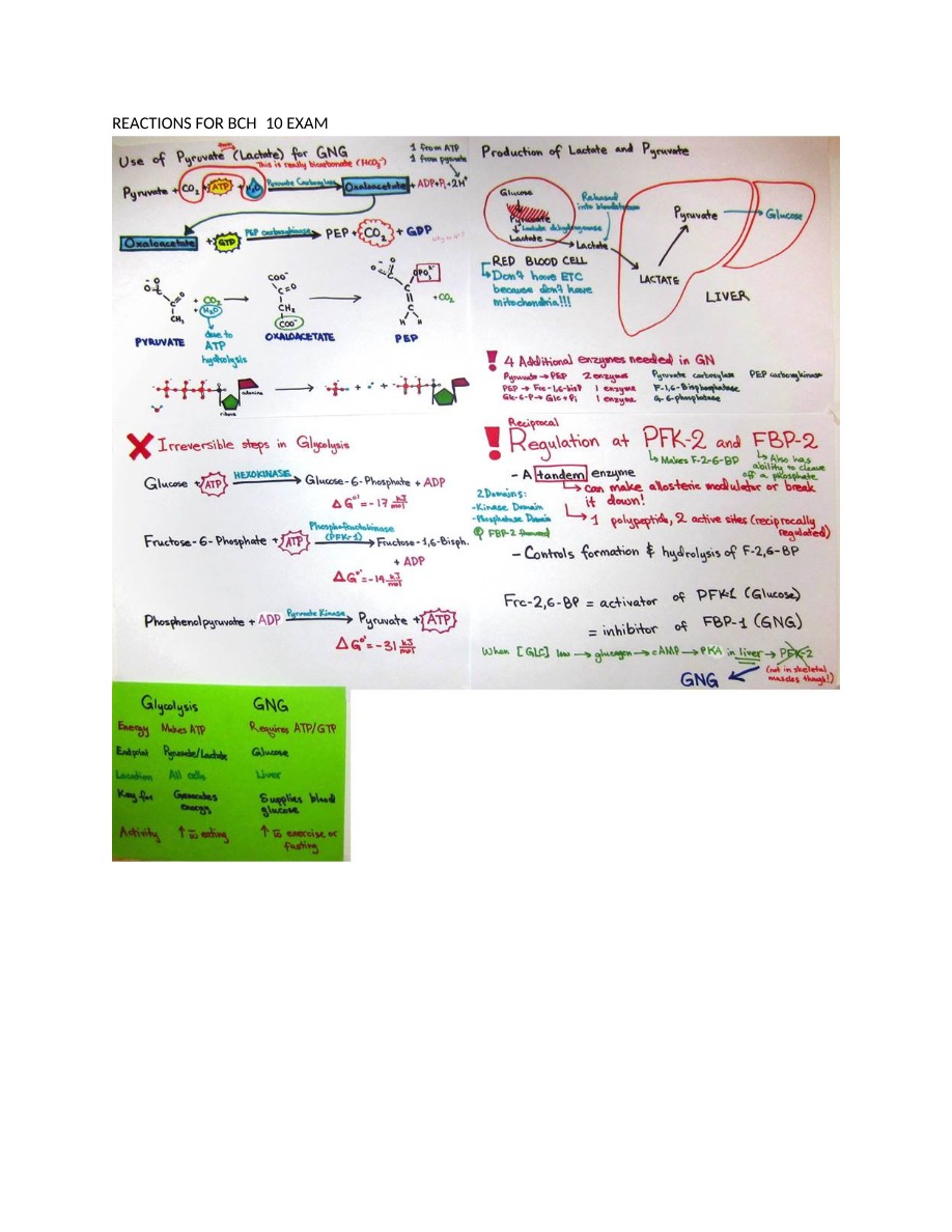 Notes for BCH210 Exam