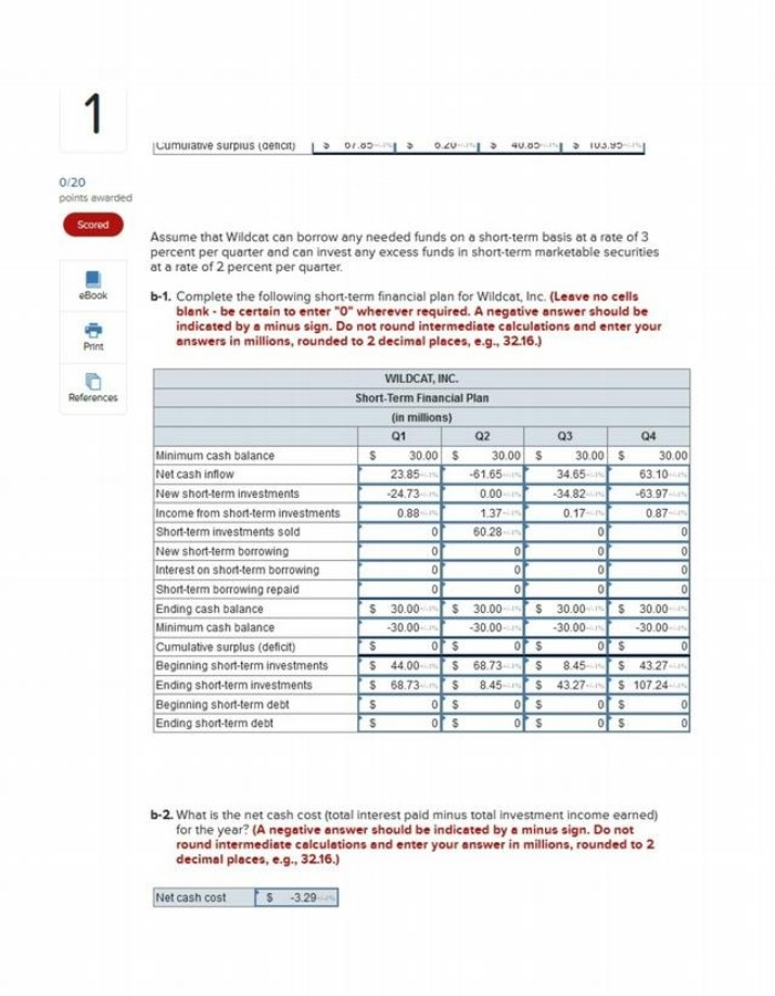Analysis of Wildcat Inc. Q1-Q4 Short-Term Financial Plan