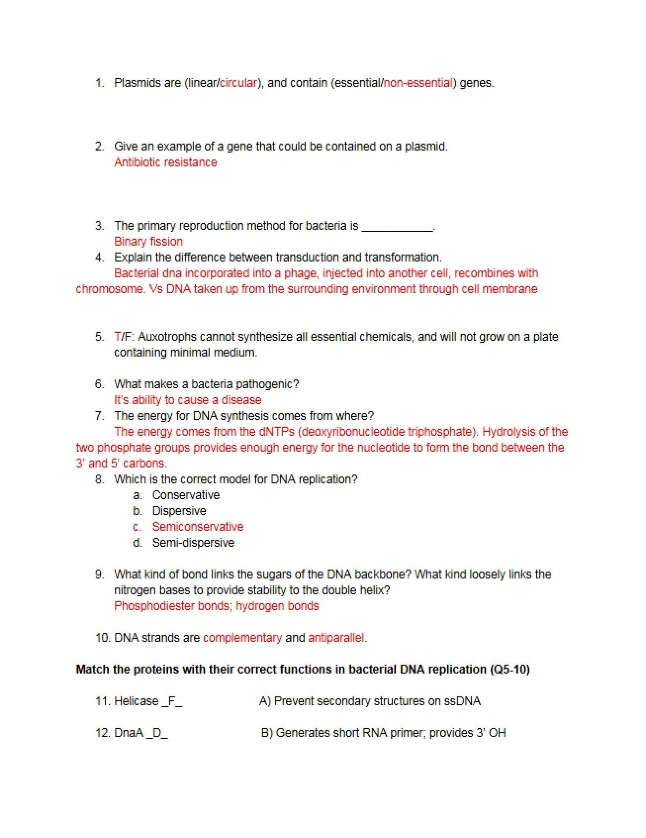 Summer Answers Worksheet 5