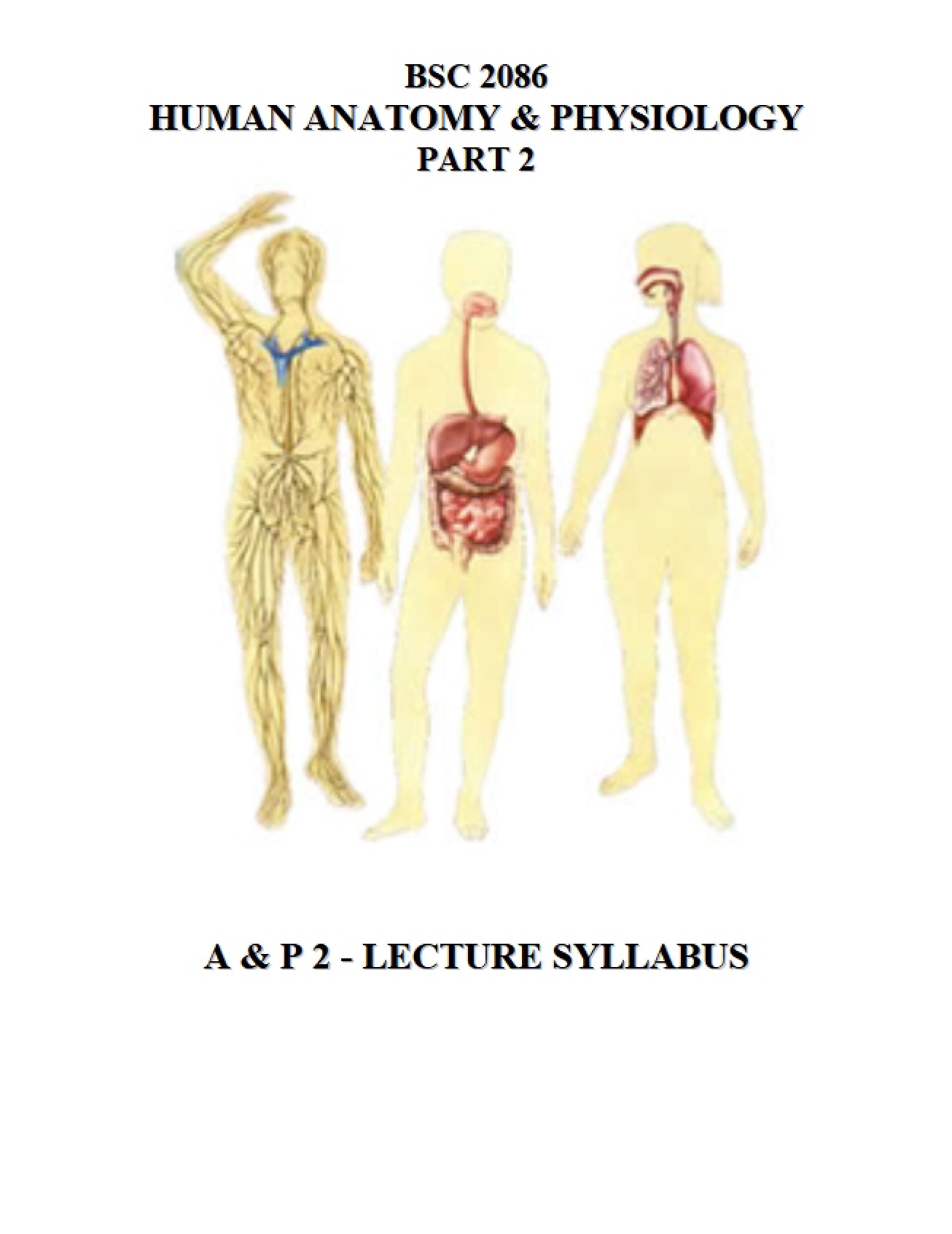 Anatomy and Physiology 2 Syllabus