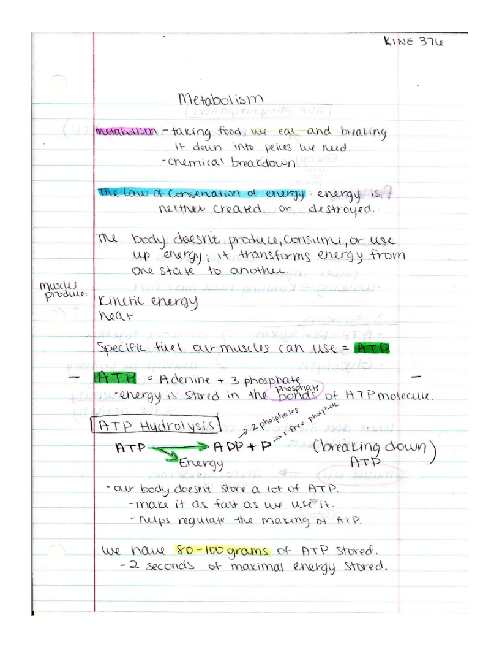 Exercise Physiology Notes - Exercise Physiology