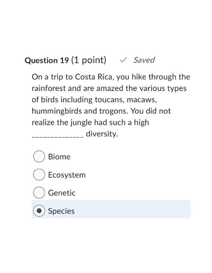 Quiz on Bird Species Biodiversity in Costa Rica