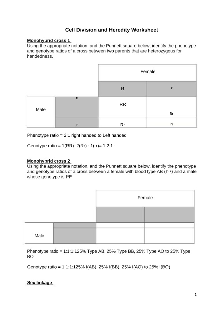 Worksheet on Cell Division and Heredity