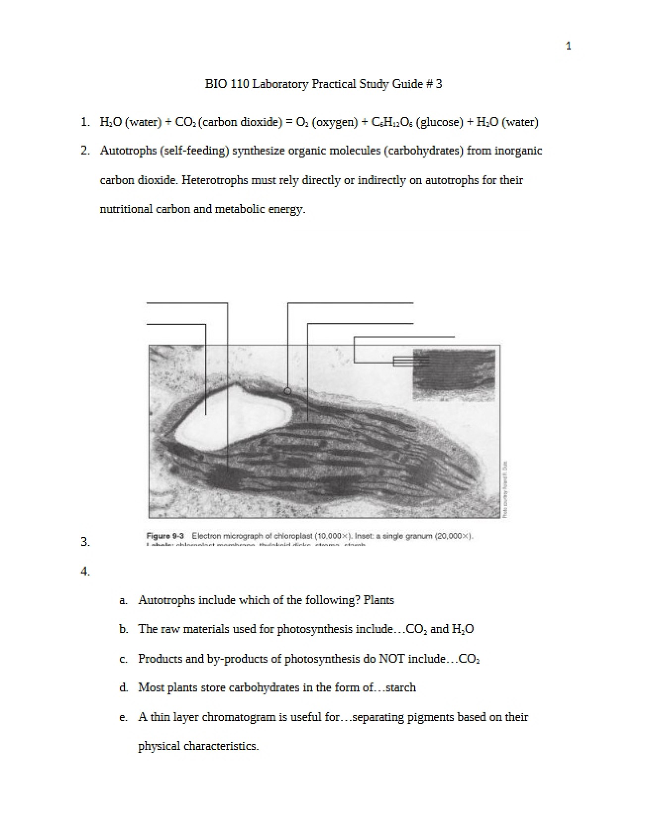 Study Guide for Laboratory Practical 3