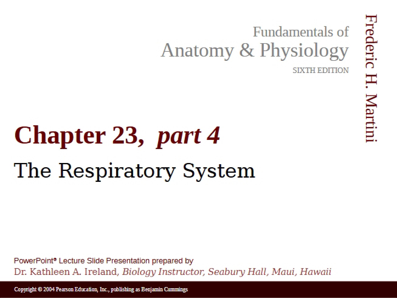 Respiratory System Physiology