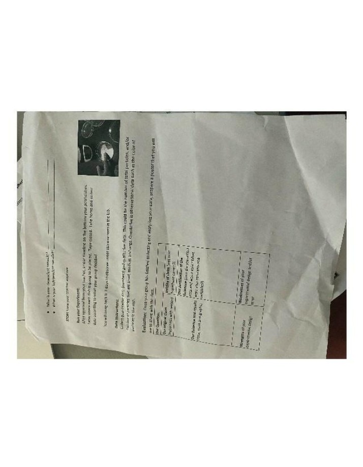 Worksheet - Science Experiment