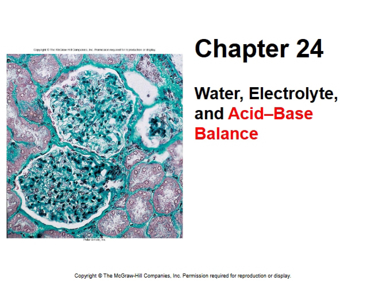 Slide Notes Chapter 24