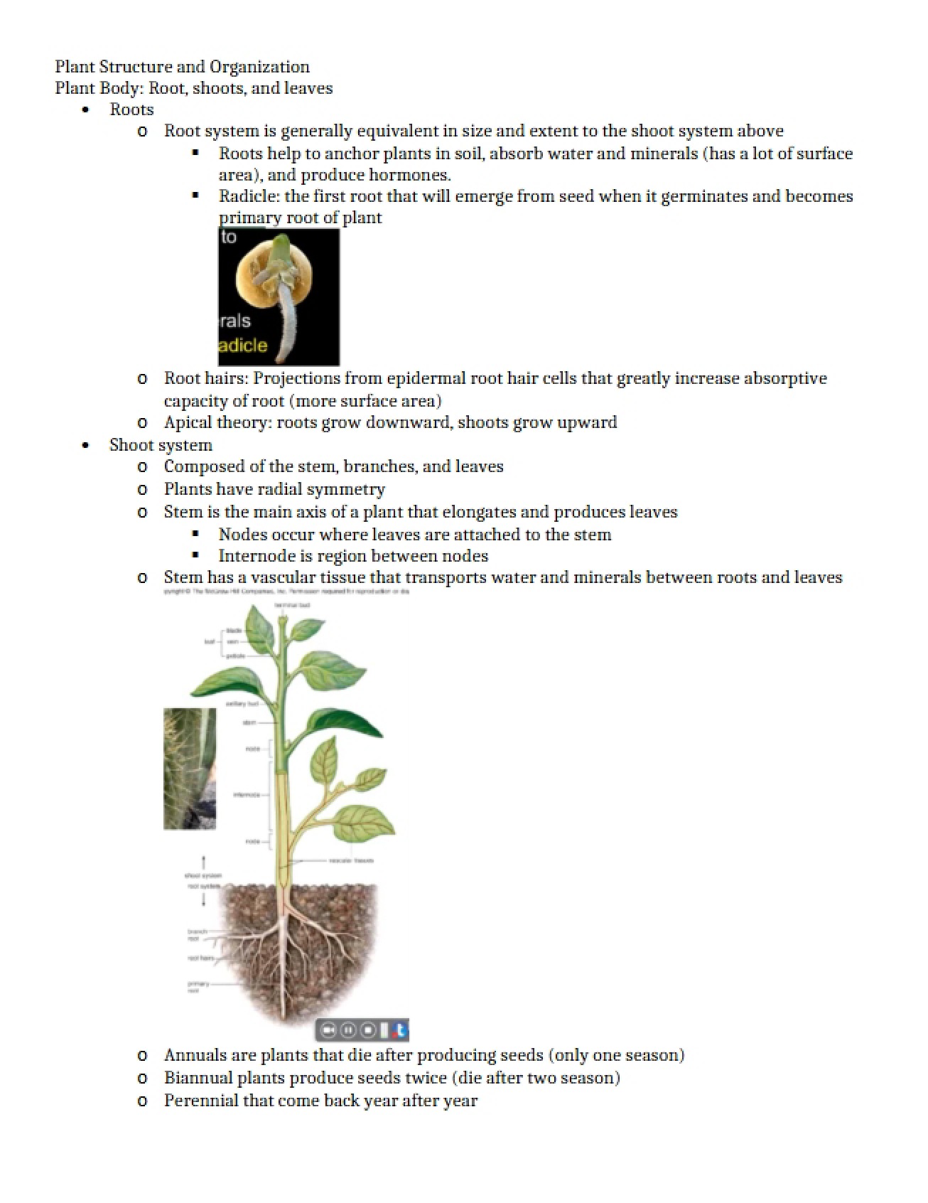 Organization and Structure of Plants