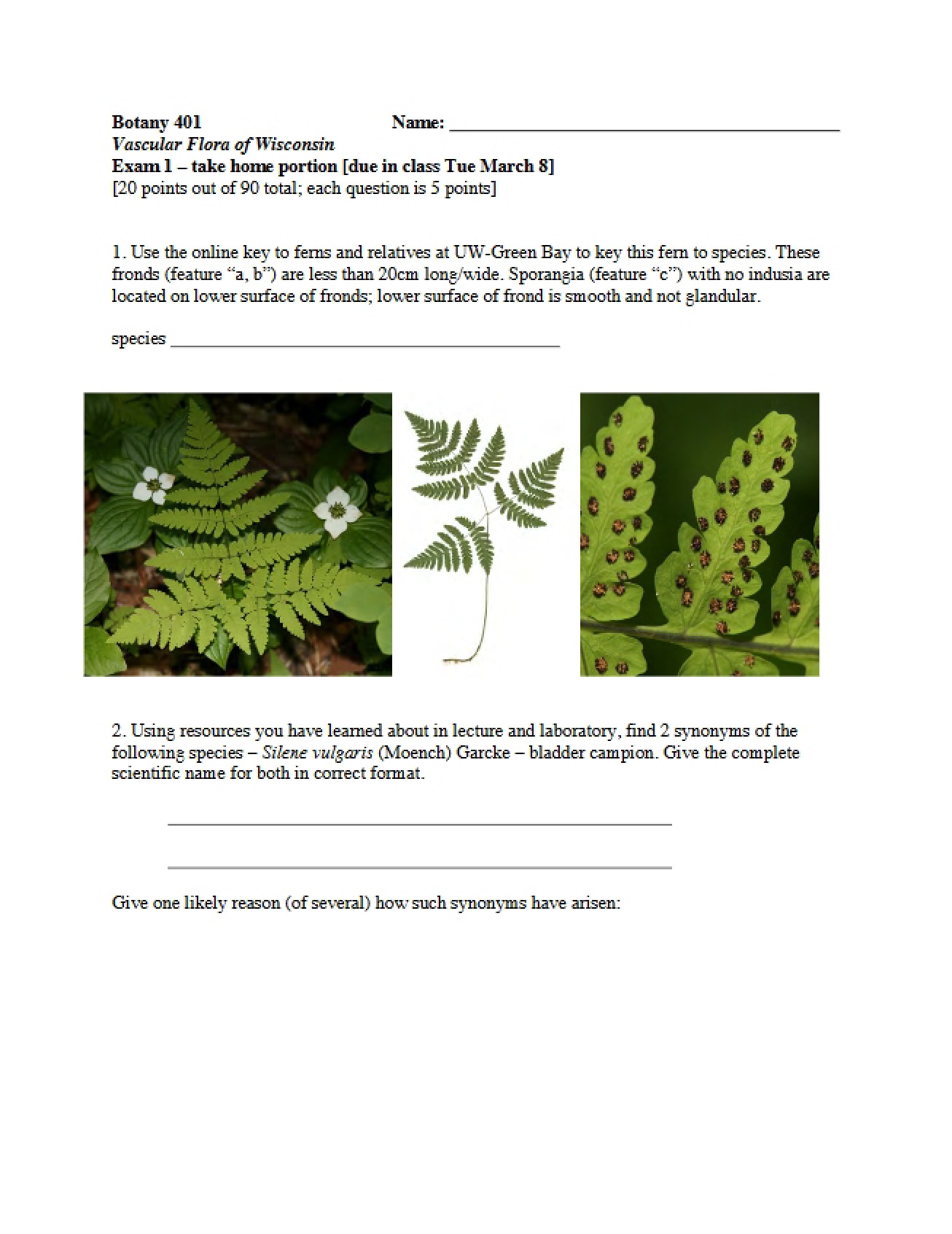 First Examination for Botany 401