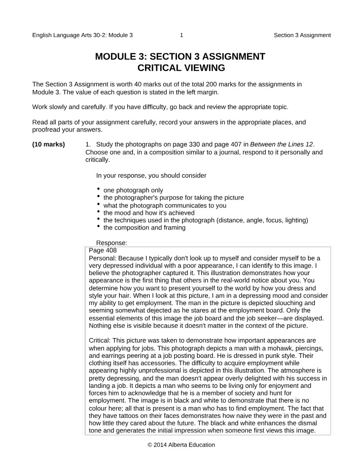 Critical Viewing - Module 3 Section 3 Assignment