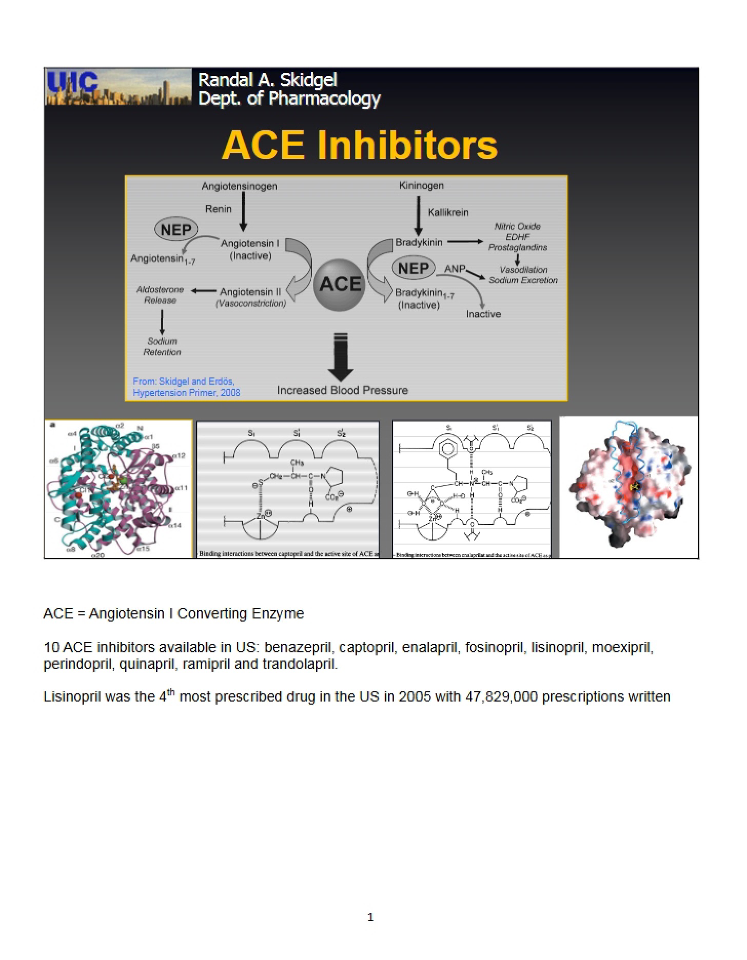 Handout ACE Inhibitors