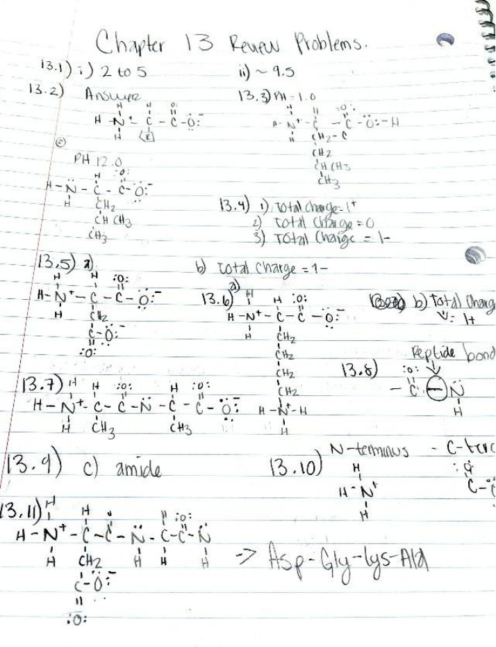Review Problems for Chapter 13