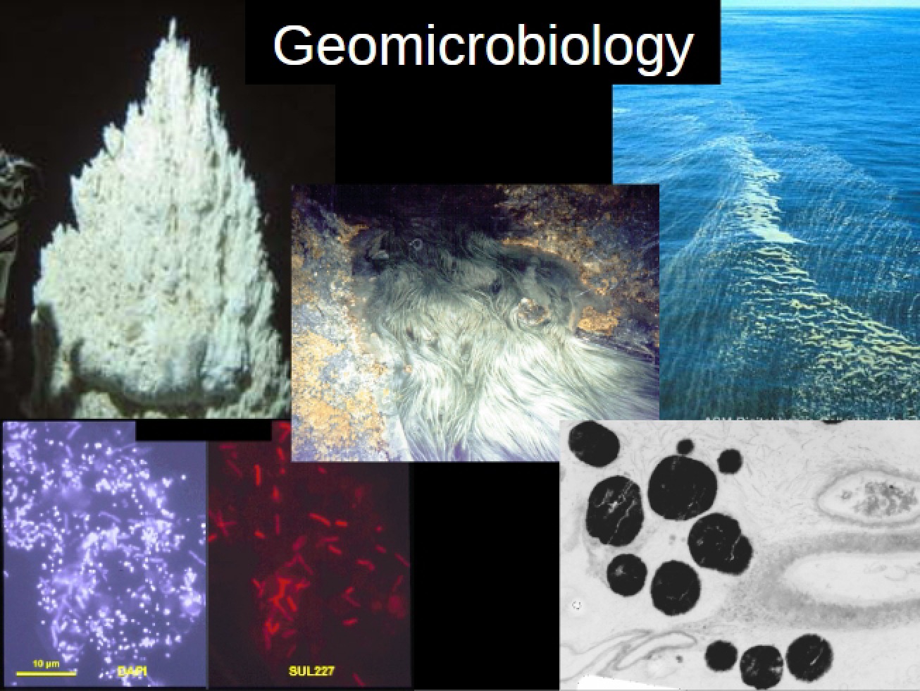 Geological Microbiology