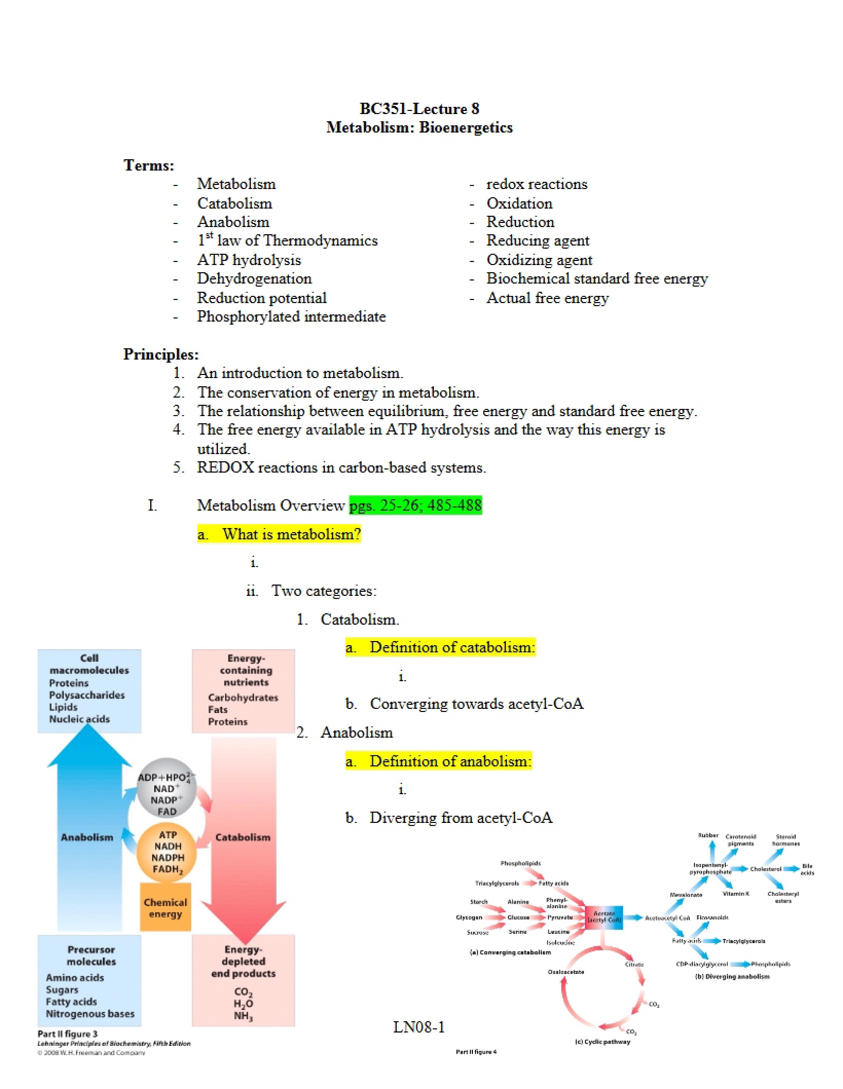 Biochemistry Lecture 8