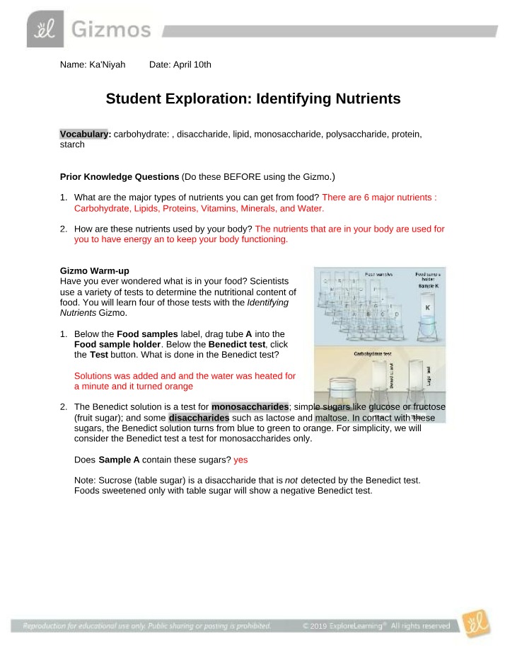 Identifying Nutrients in Food Carbohydrates Proteins and Fats