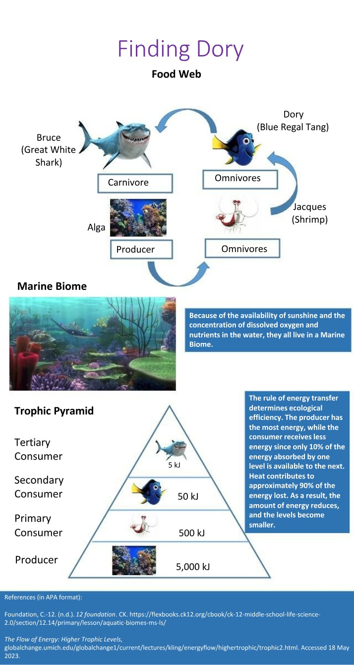 Trophic Pyramid and Food Web - Finding Dory