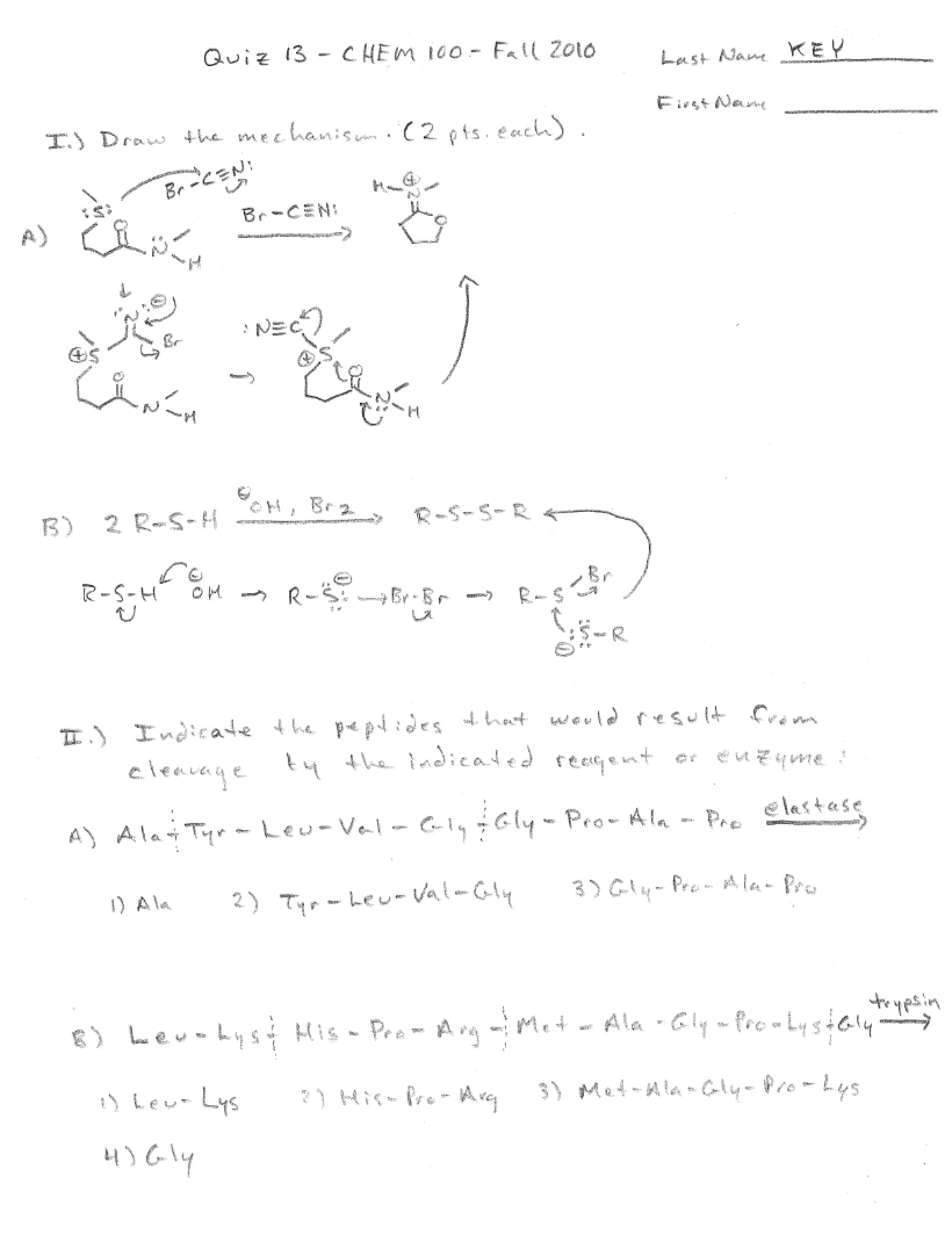 Key for Quiz 13