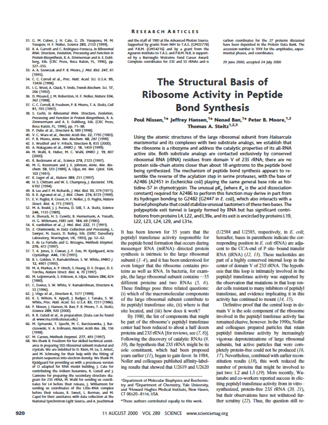 Ribosome Activity in Peptide Structural Basis