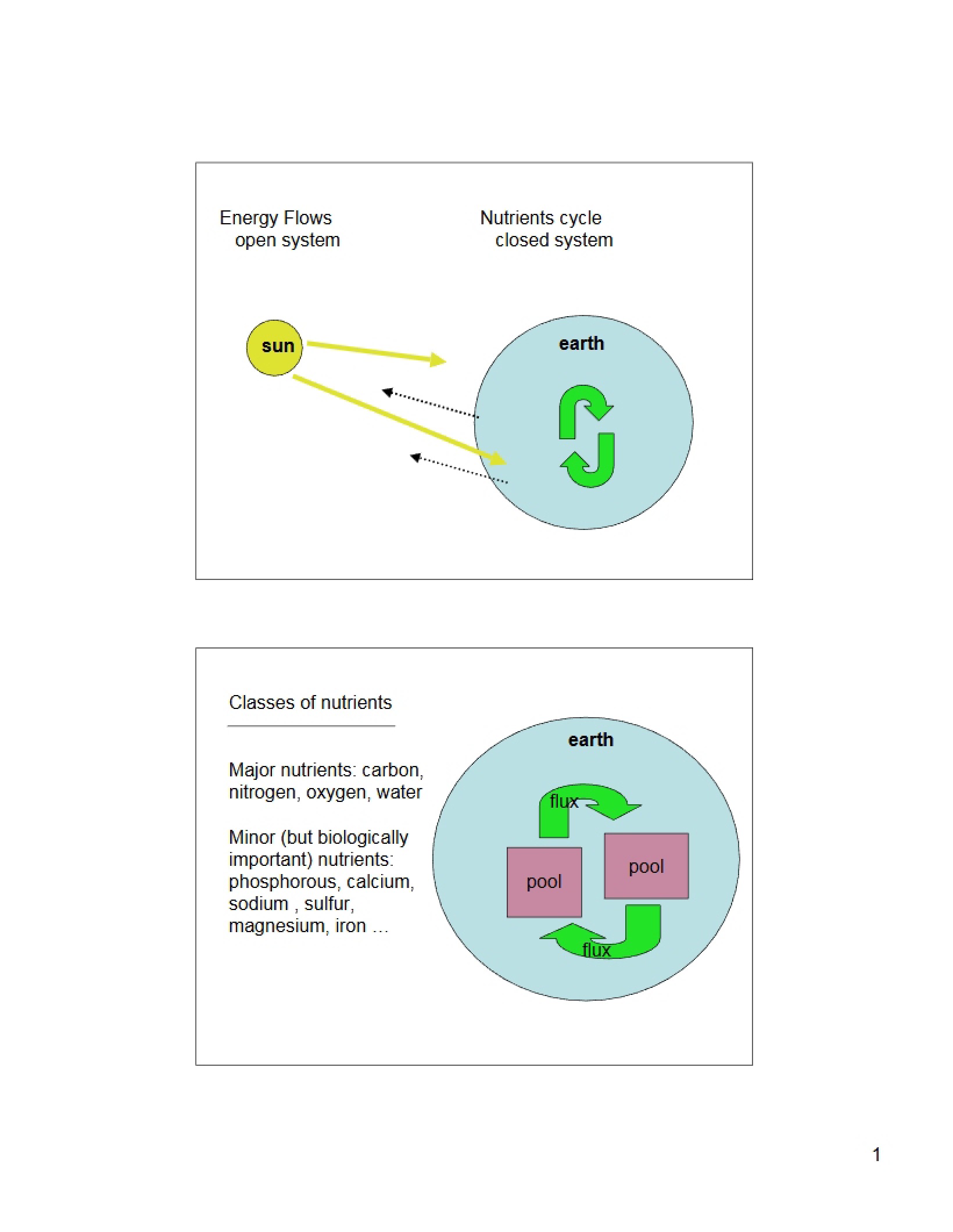 Nutrient Classes
