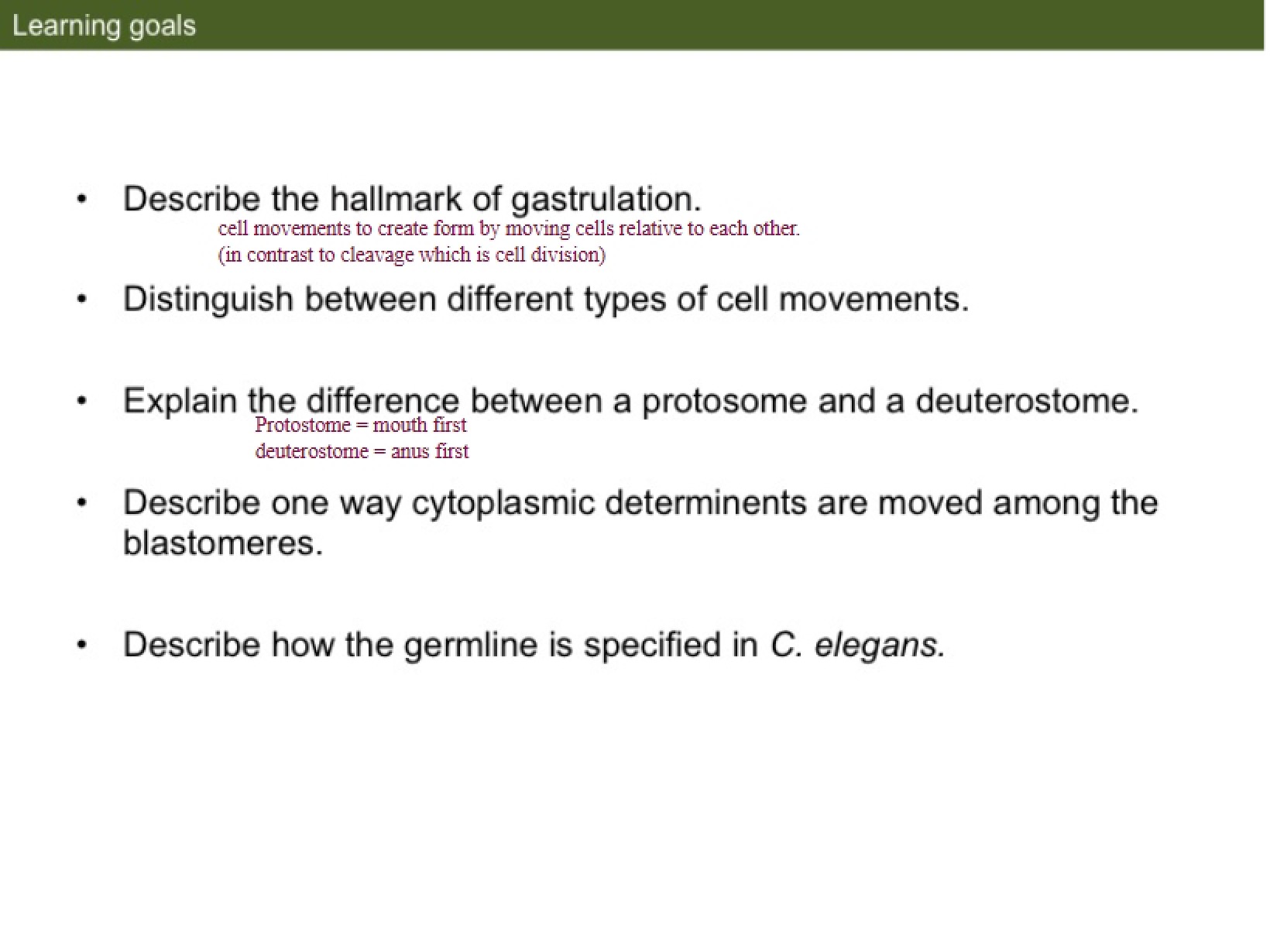 Presentation Slides