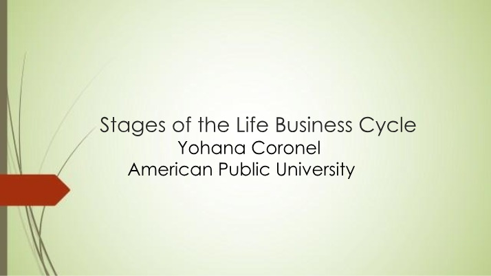 Stages of the Business Life Cycle