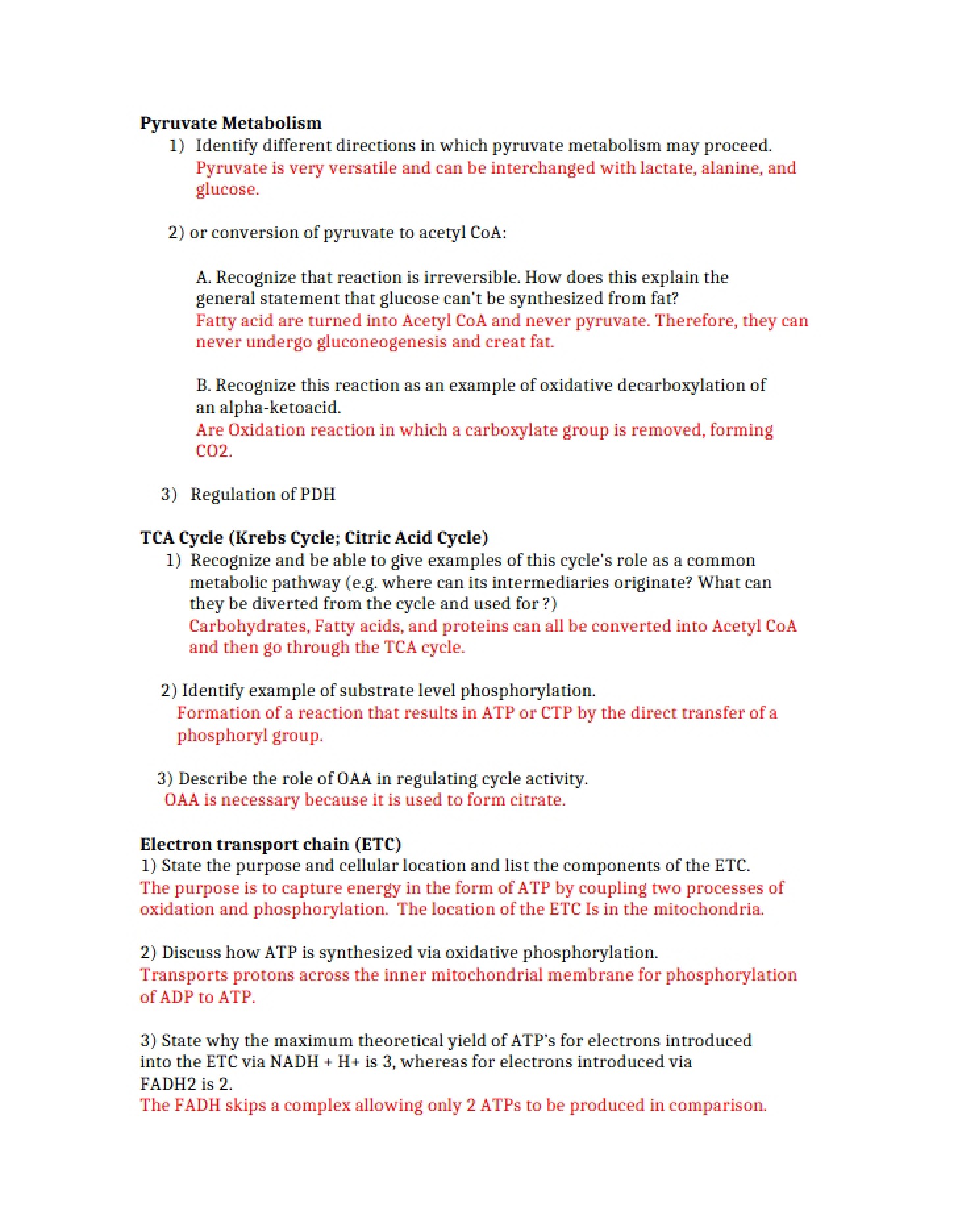 Processing of Pyruvate in Metabolism