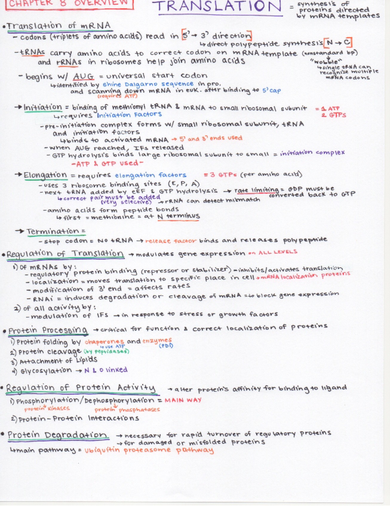 Fourth Set of Notes for Cell Biology