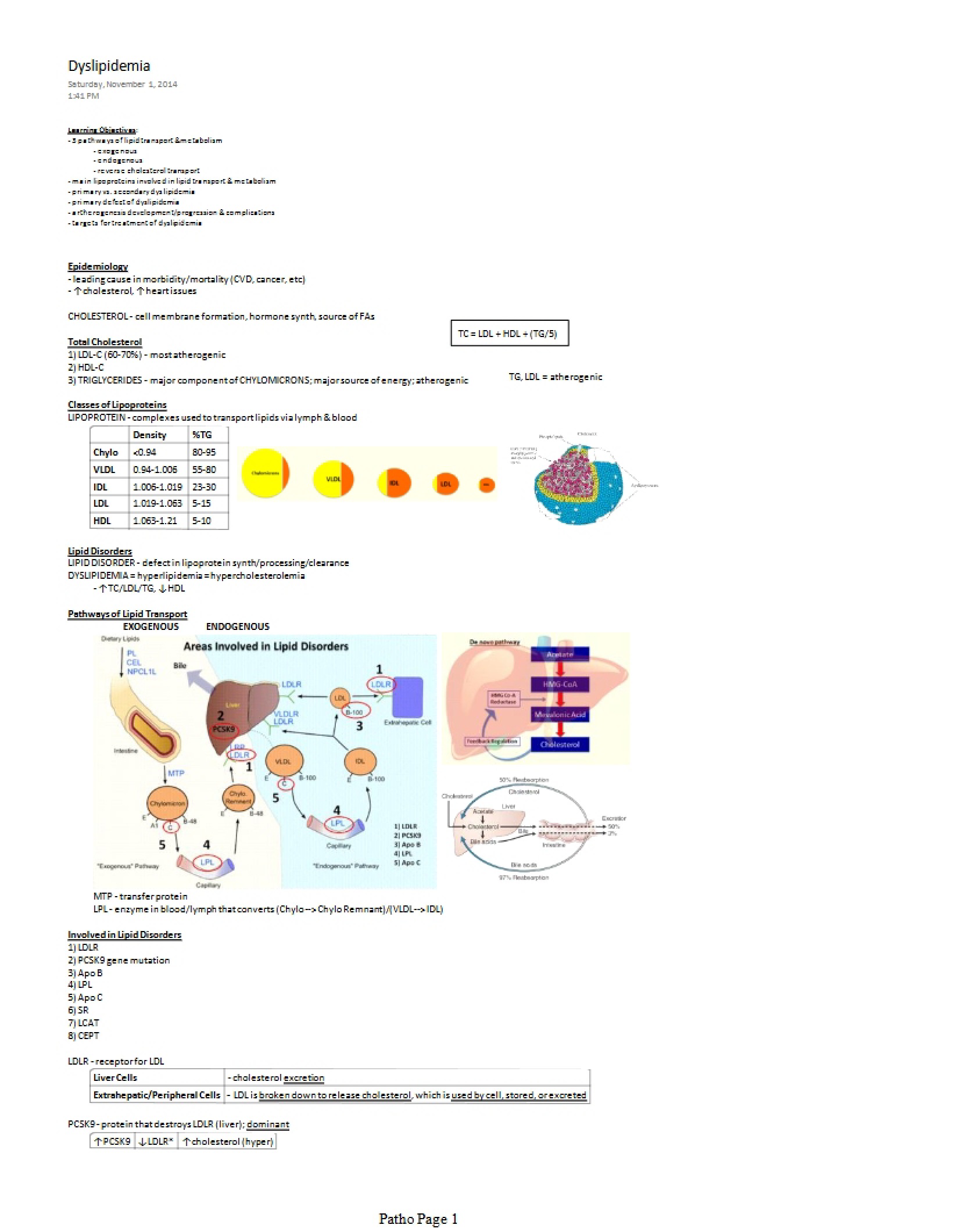 Lipid Dysfunction