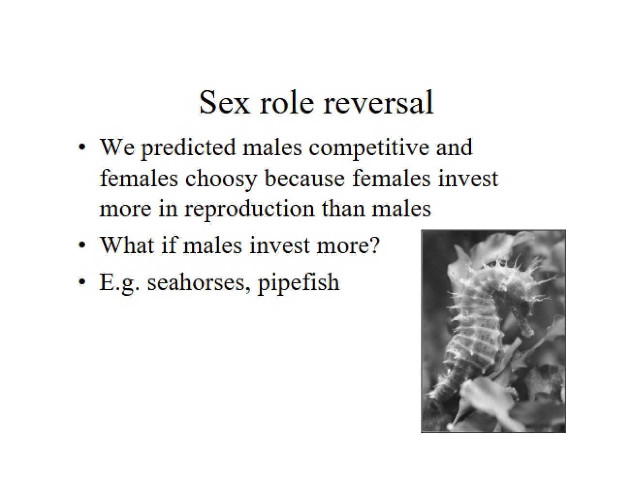 Reversal of Sex Roles