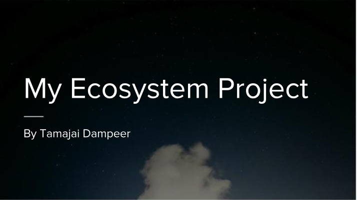 Magic Johnson Park Ecosystem - A Study of Plants