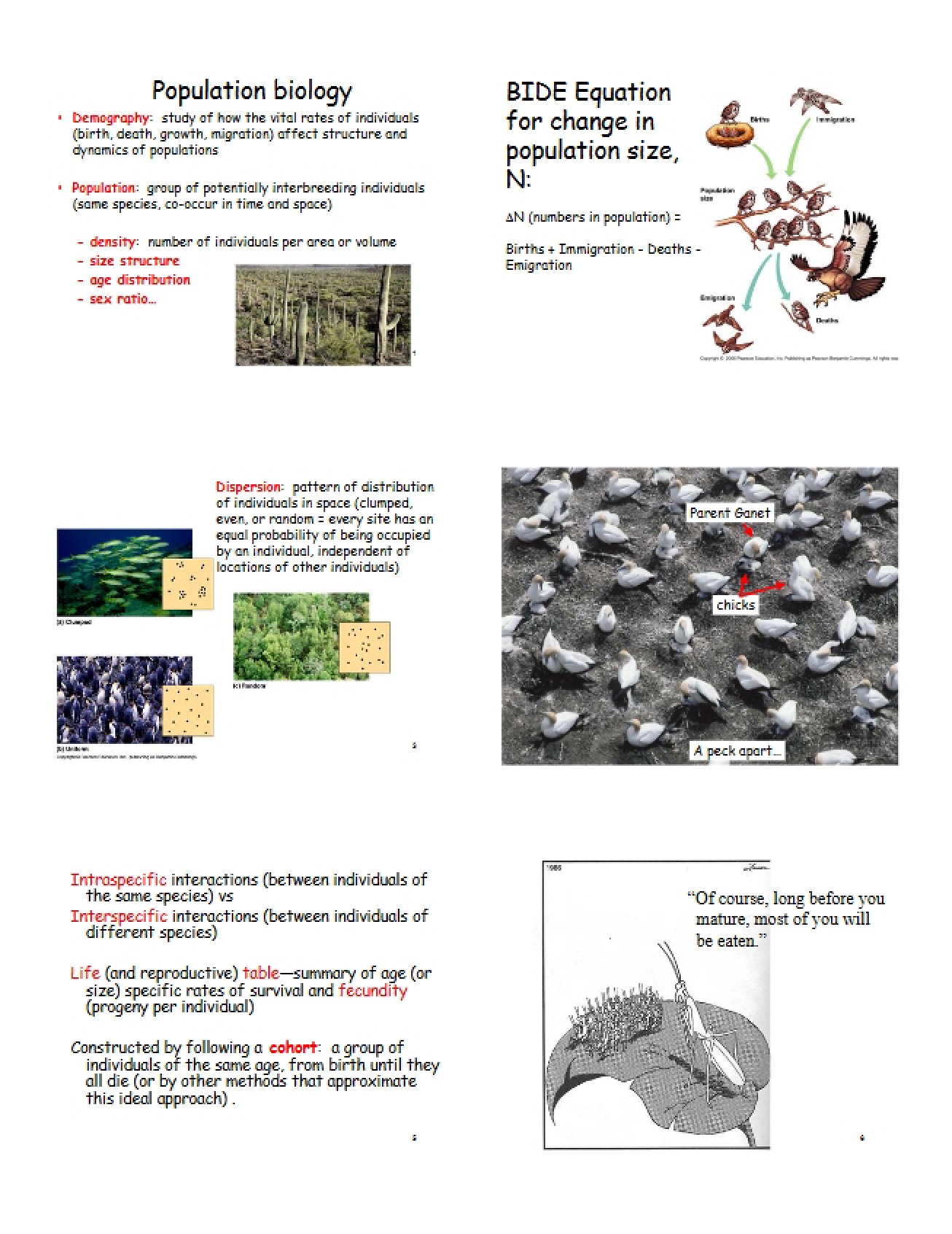 Resources and Conditions Presentation