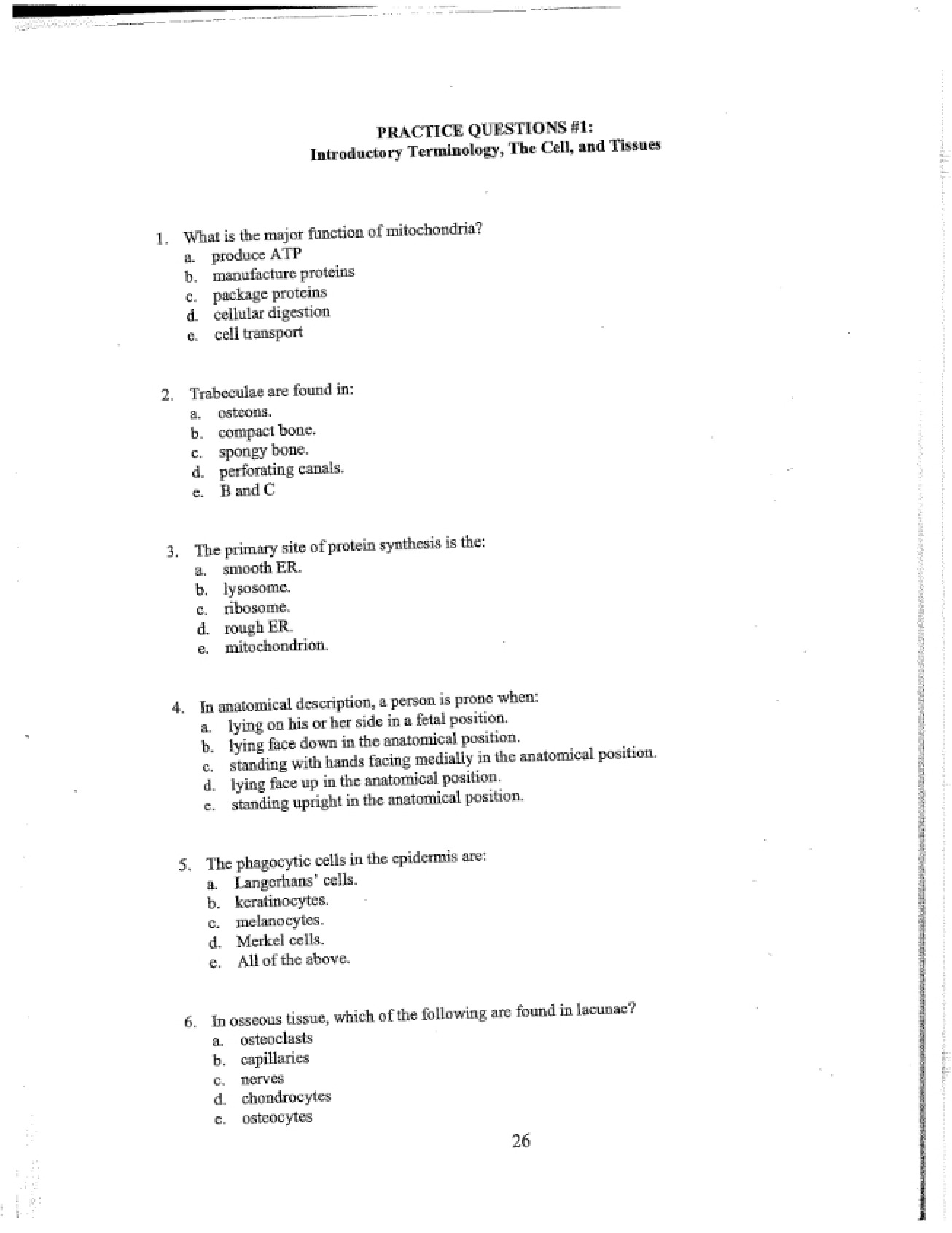 Questions for Anatomy Practice
