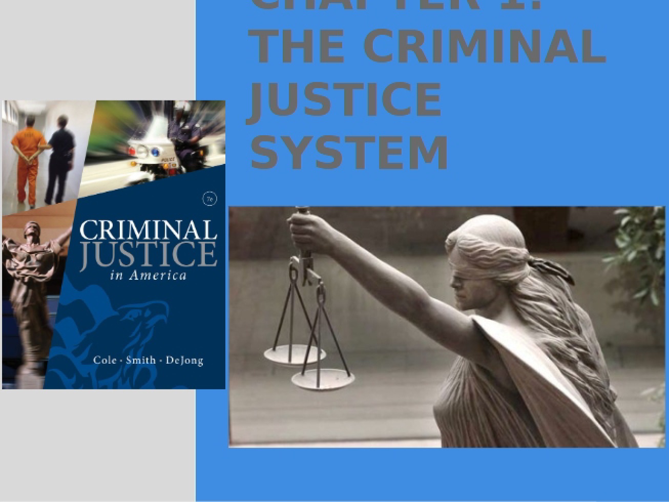 Introduction to Criminal Justice Notes