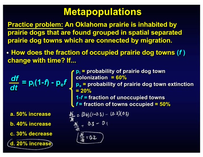 Example and Practice Problem for Metapopulations