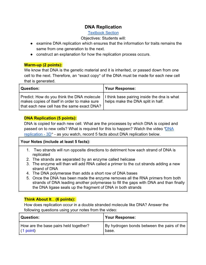 DNA Replication Processes and Enzymes