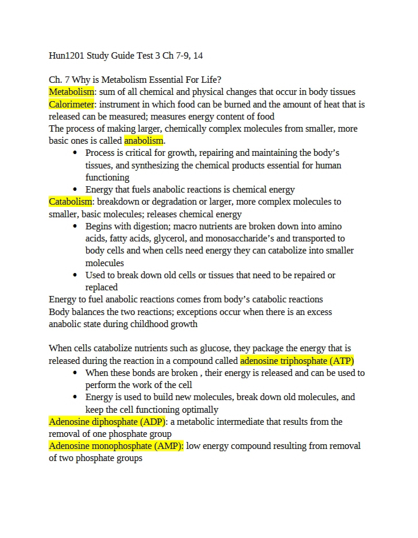 Study Guide - 28 Pages