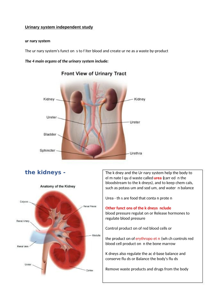 Functions, Organs, and Processes of the Urinary System