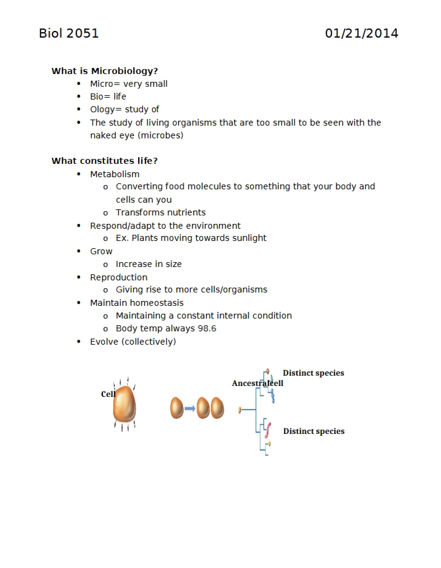 Microbiological Studies