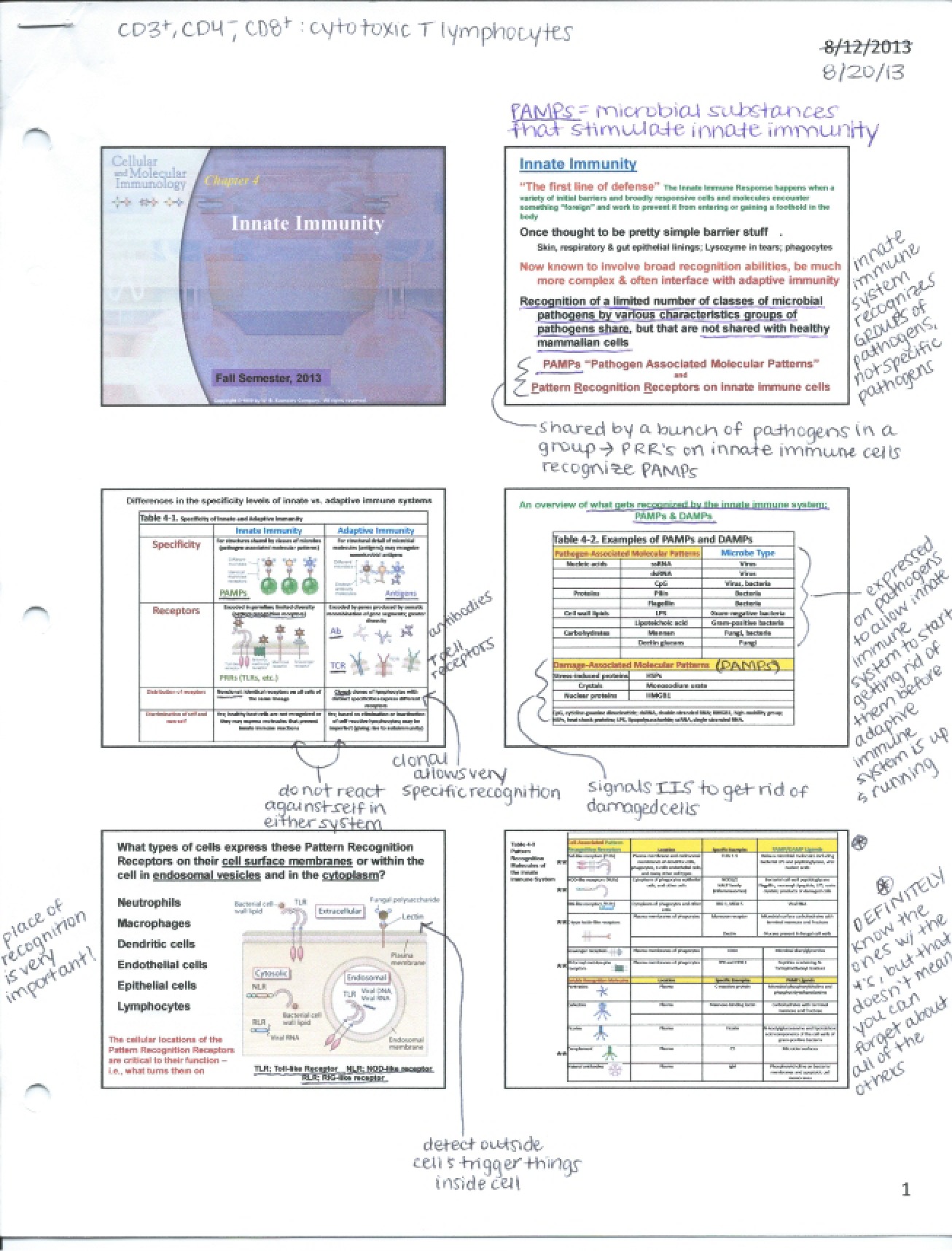 Notes (First Instance)
