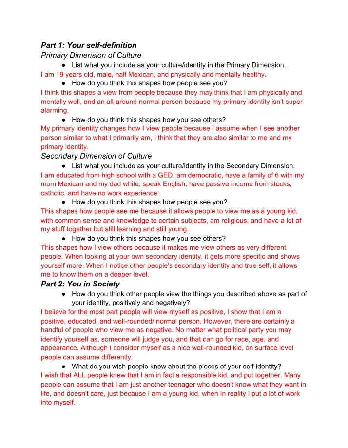 Cultural Identity Dimensions and Their Impact