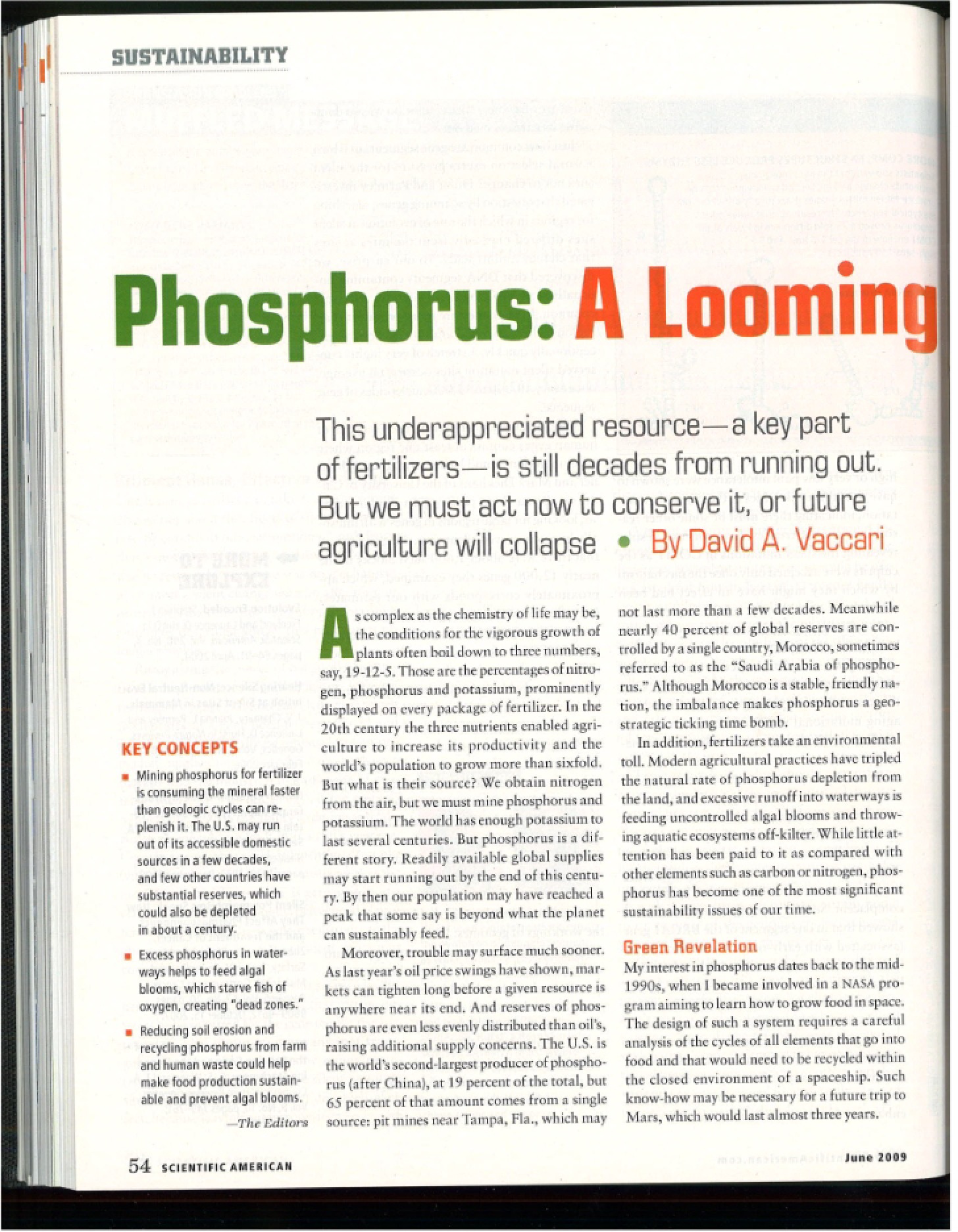 Phosphorus Overview