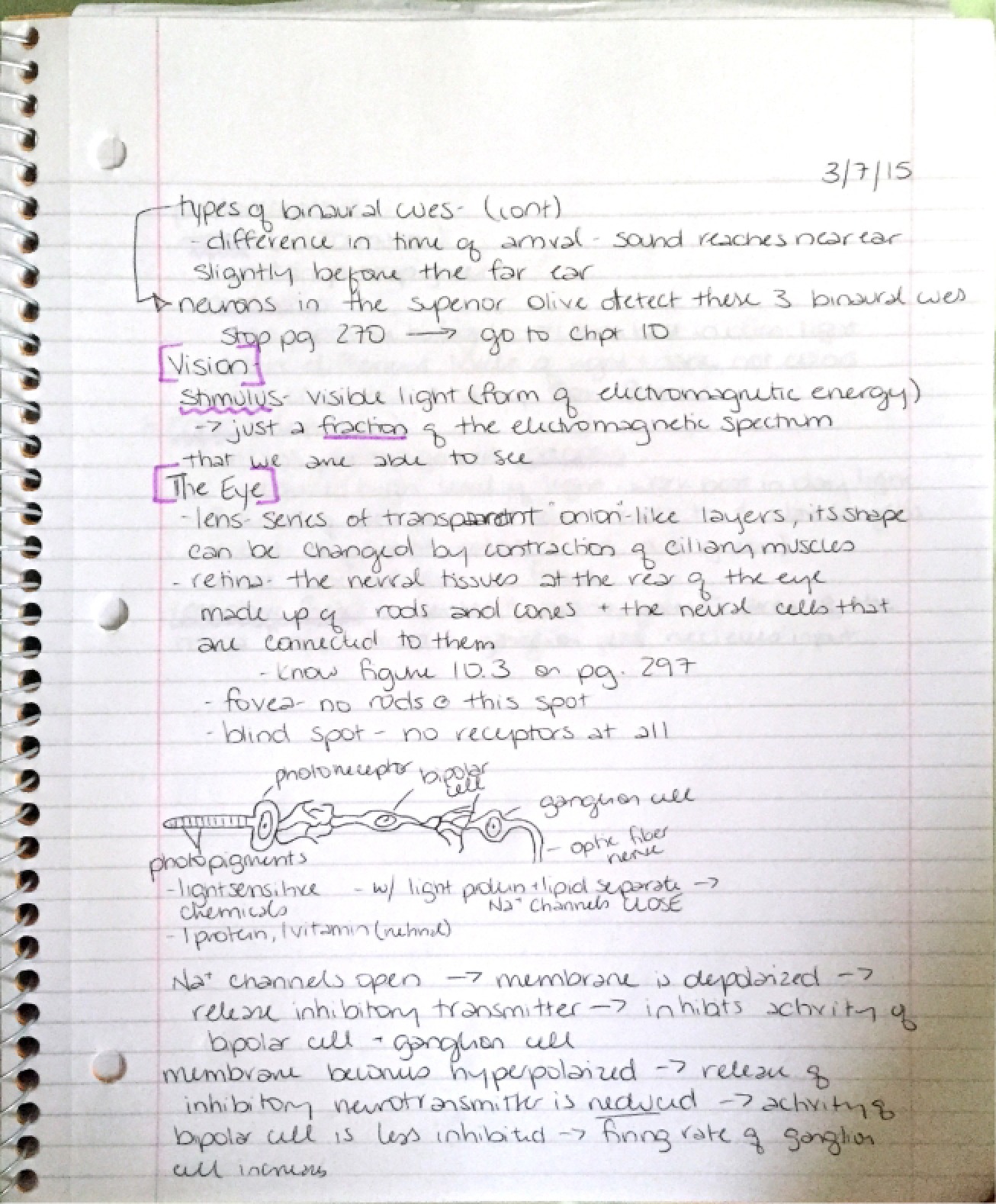 Session Notes 5