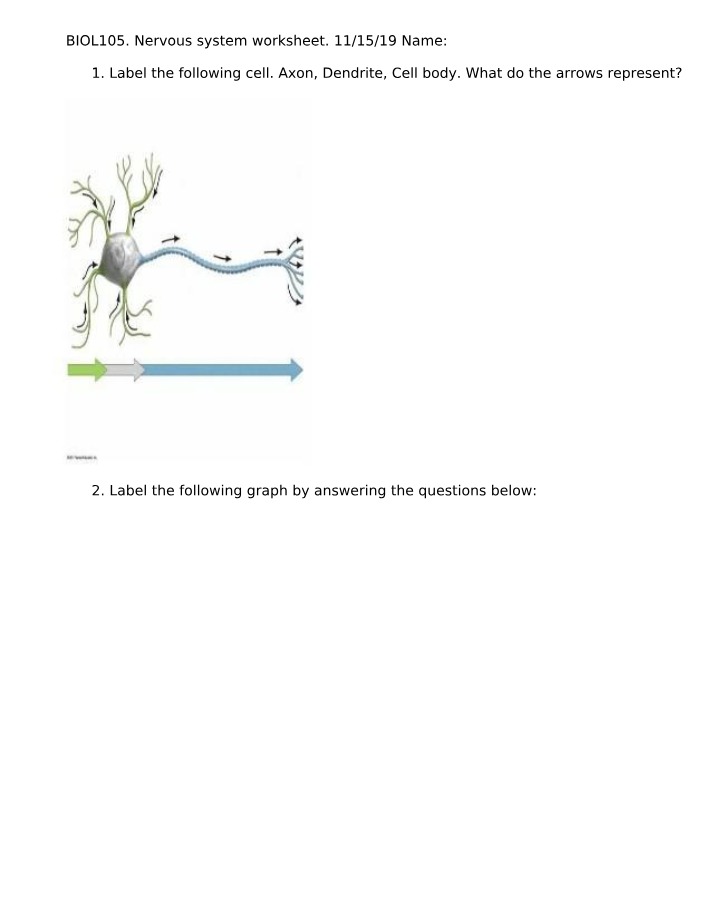 Worksheet on the Nervous System