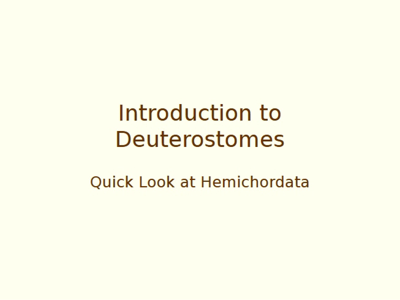Hemichordata Chapter 23