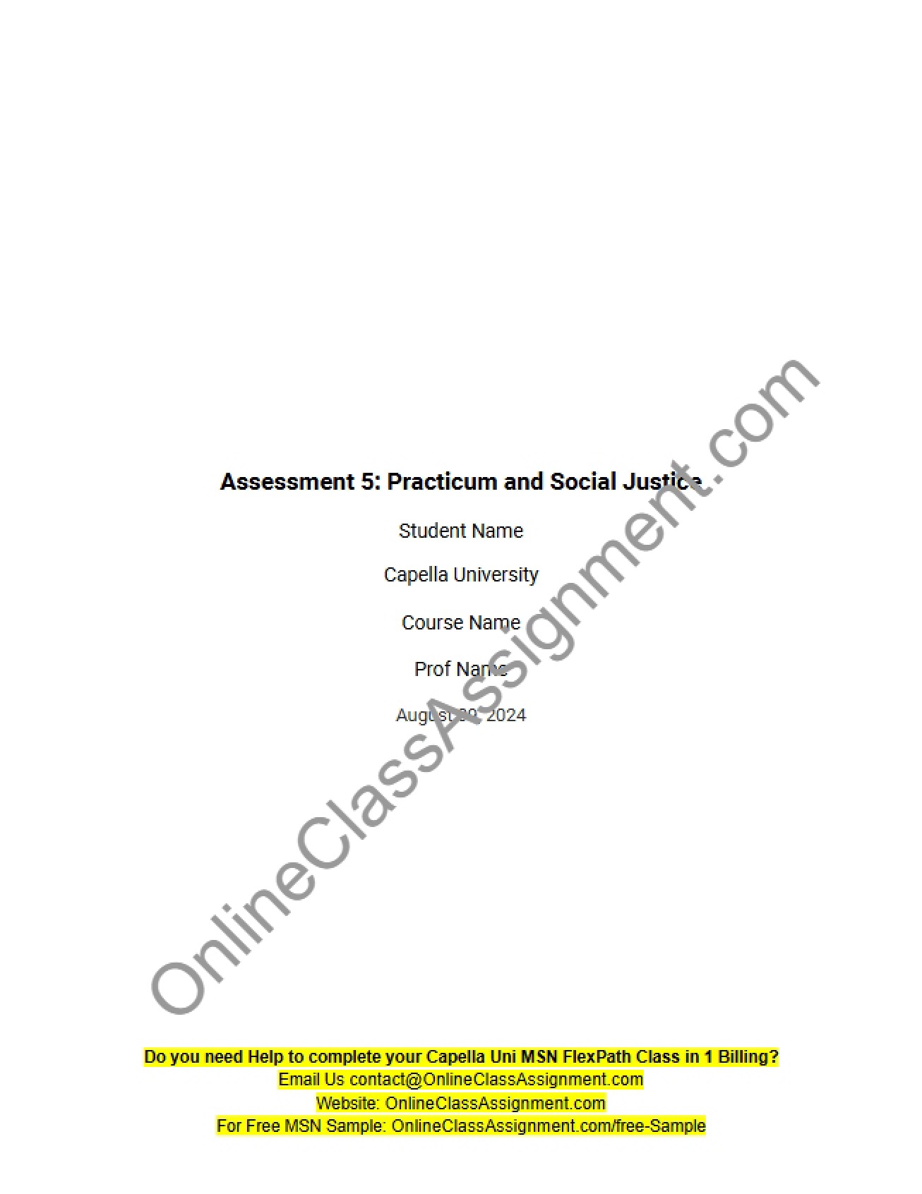 Practicum and Issues of Social Justice for Assessment 5