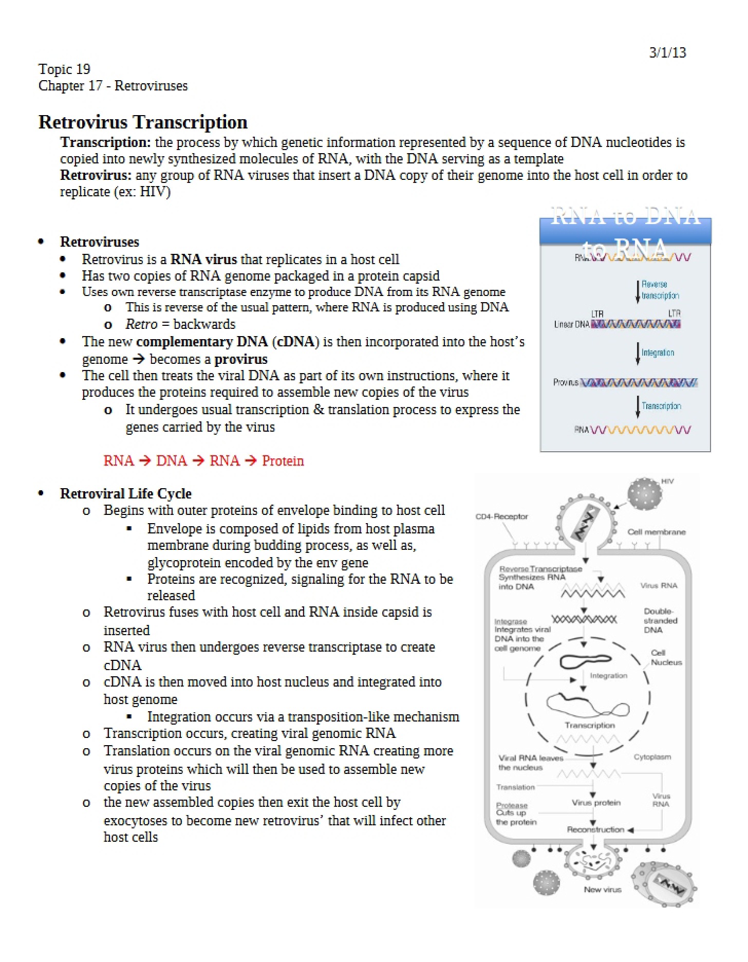 Viral Mechanisms Retrovirus Overview (Chapter 17)