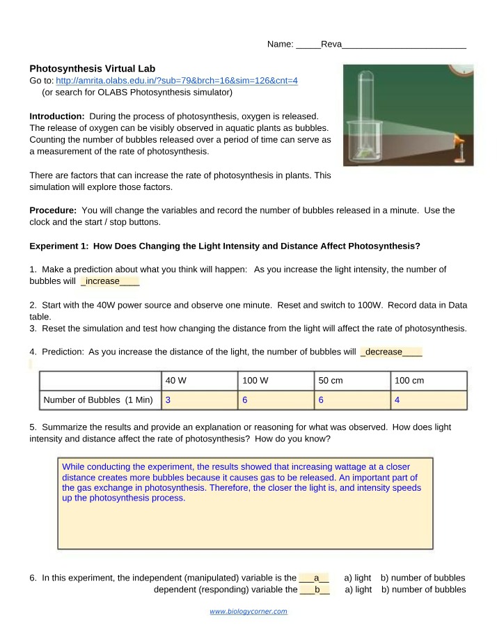 Virtual Lab on Photosynthesis